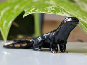 uromastyx porcelaine or