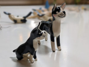 Boston Terrier